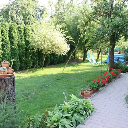 Privat Cerenica * Belusa